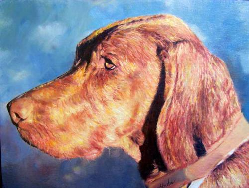 Vizsla portré  olaj-vászon 29x38 2023
